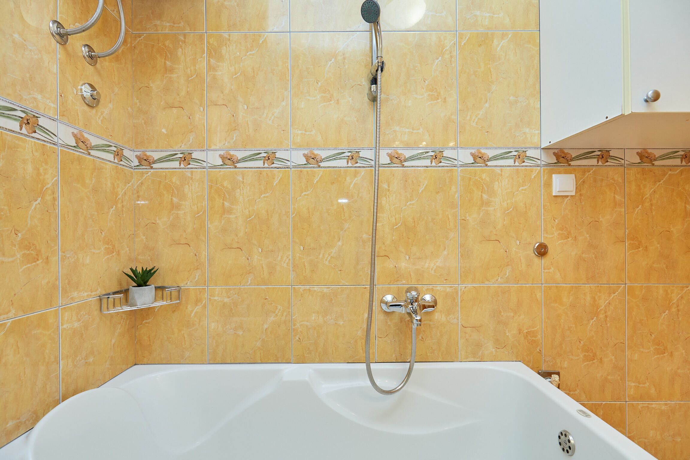 A bathroom with a white bathtub, a showerhead, and a small plant on a shelf.