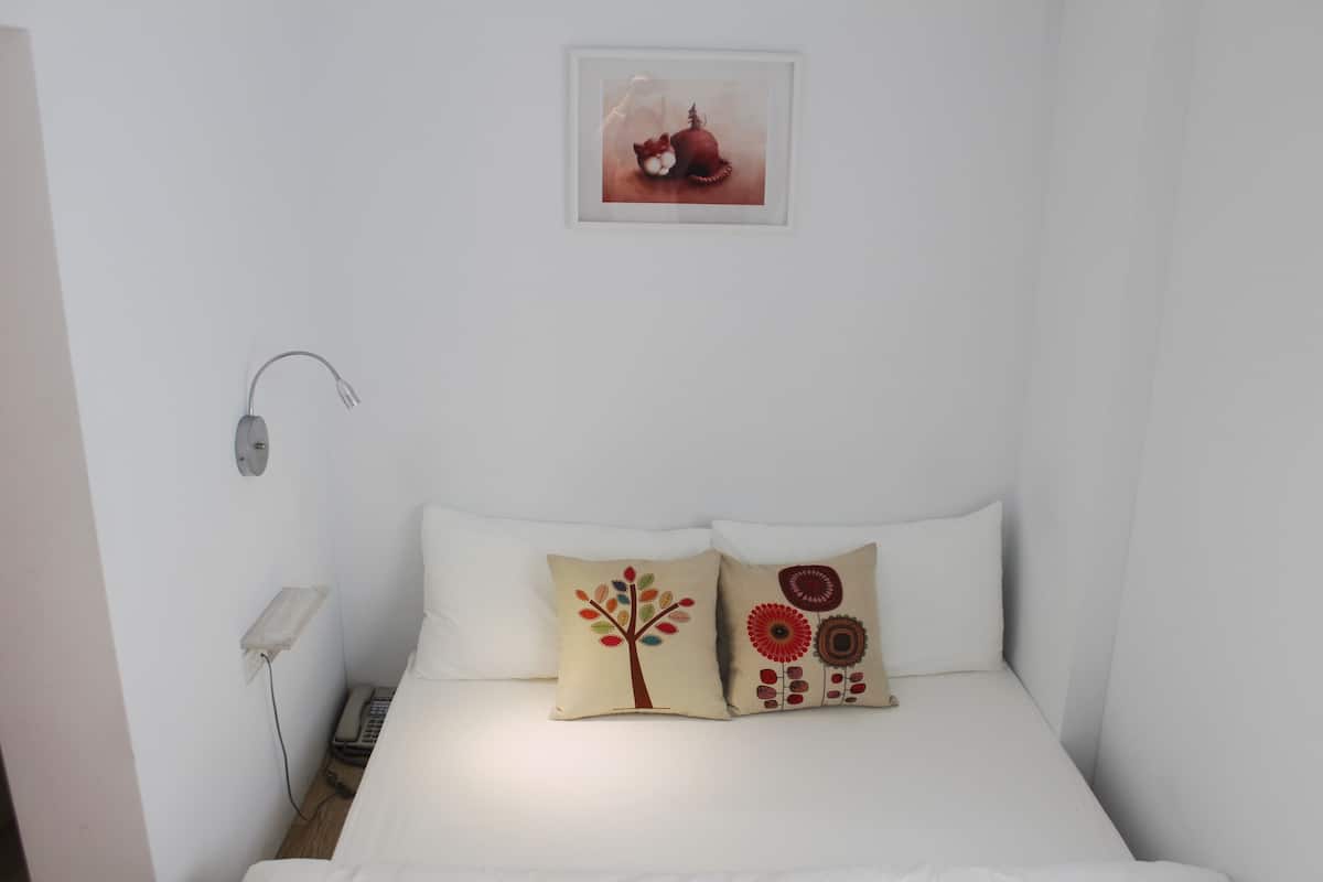 A bedroom with a bed, two decorative pillows, a bedside table with a lamp, and a wall-mounted picture.