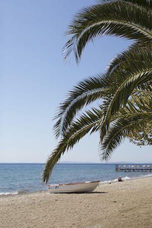 ์๋ฐ ์์ค์ ์ ๋ง