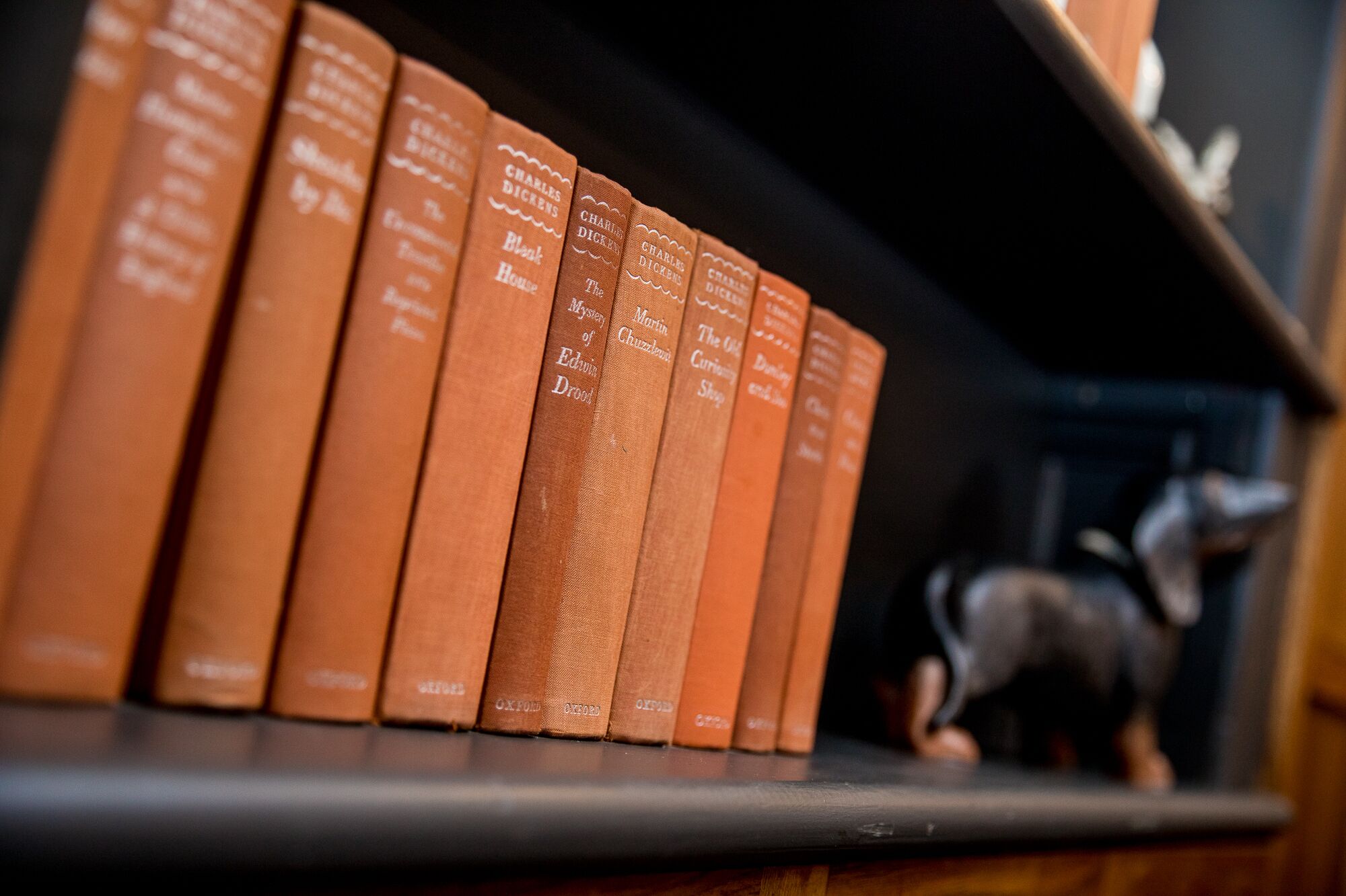 A row of hardcover books on a shelf.