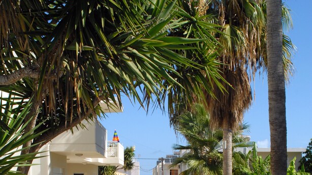 A pool area with tiled flooring, palm trees, and a clear sky. - Evilion Hotel (Chania)