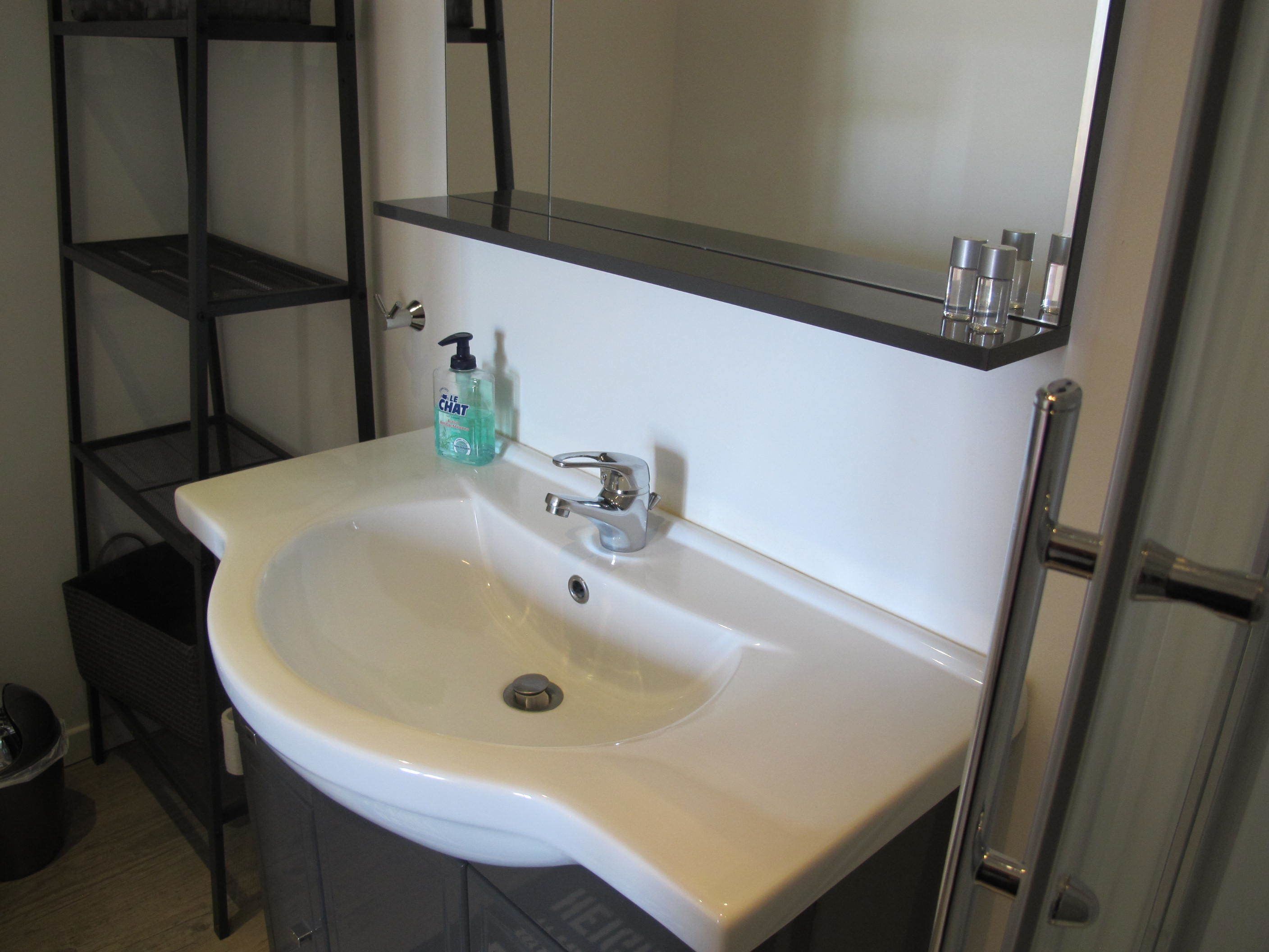 A bathroom with a white sink, a mirror above it, and a soap dispenser on the sink.