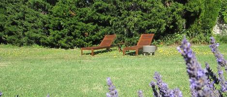 Two wooden lounge chairs in a grassy area with a dense green hedge in the background.
