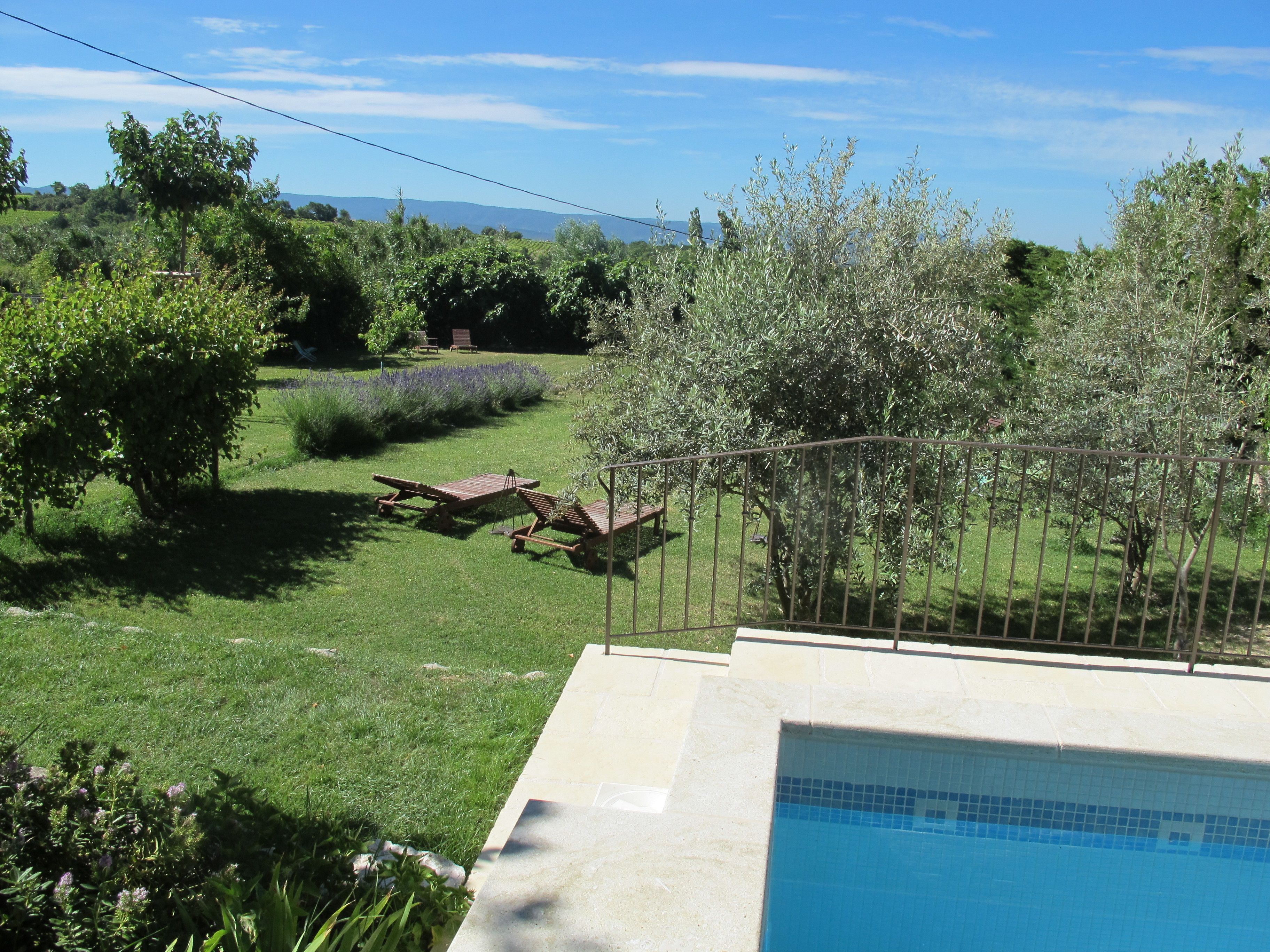 Un jardin avec une piscine, une pelouse verdoyante et quelques arbres.