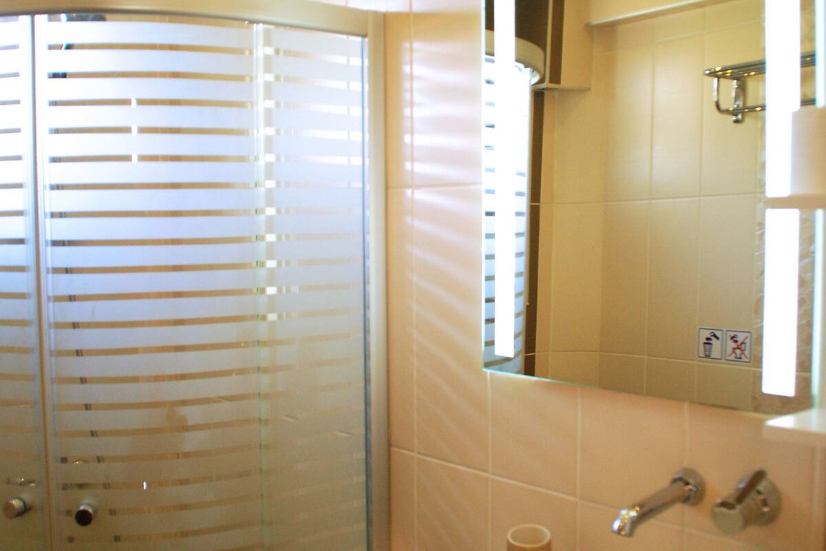 double or twin room | bathroom | shower, free toiletries, hair dryer, towels