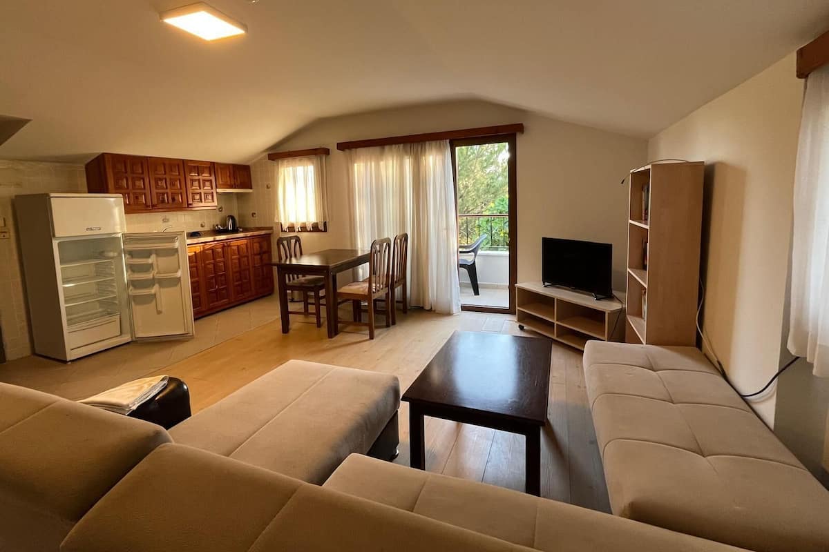 A compact living space with a kitchenette, a dining area, a sofa, and a television.