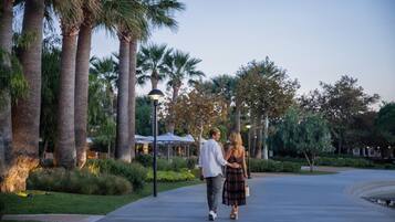 A couple walking on a paved path surrounded by palm trees and greenery, with outdoor lighting and a building in the background.