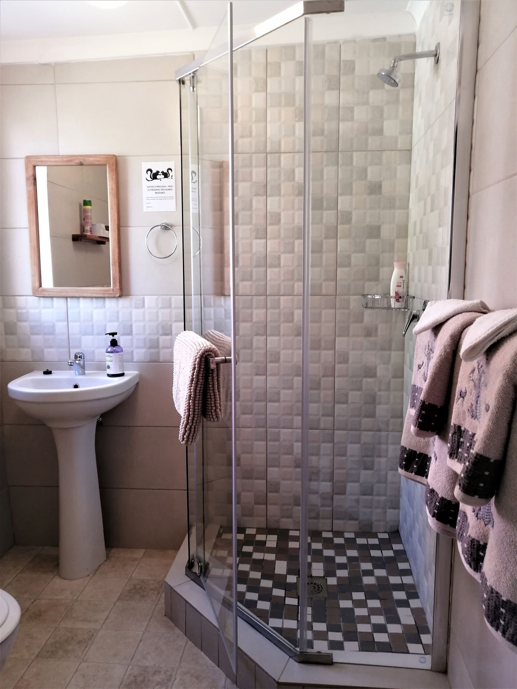 Een badkamer met een douchecabine van glas, een wastafel en een spiegel.