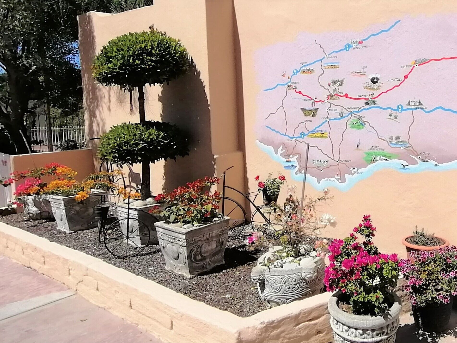 A garden with various potted plants and a map on the wall.