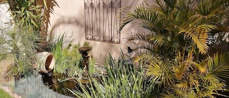 Jardin
