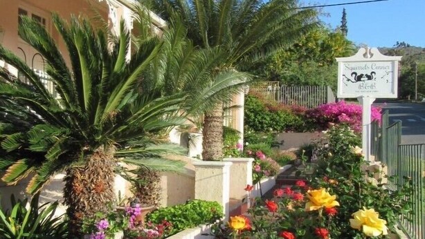 A well-maintained garden with a variety of flowers and a palm tree, leading to a building with a sign that reads "Squirrels Corner Beer".