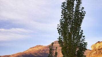 A natural landscape with a prominent tree in the foreground, a dirt path, and a mountain range in the background.