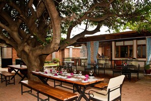 Un área de comedor al aire libre con mesas y bancos de madera, rodeada por un árbol grande.