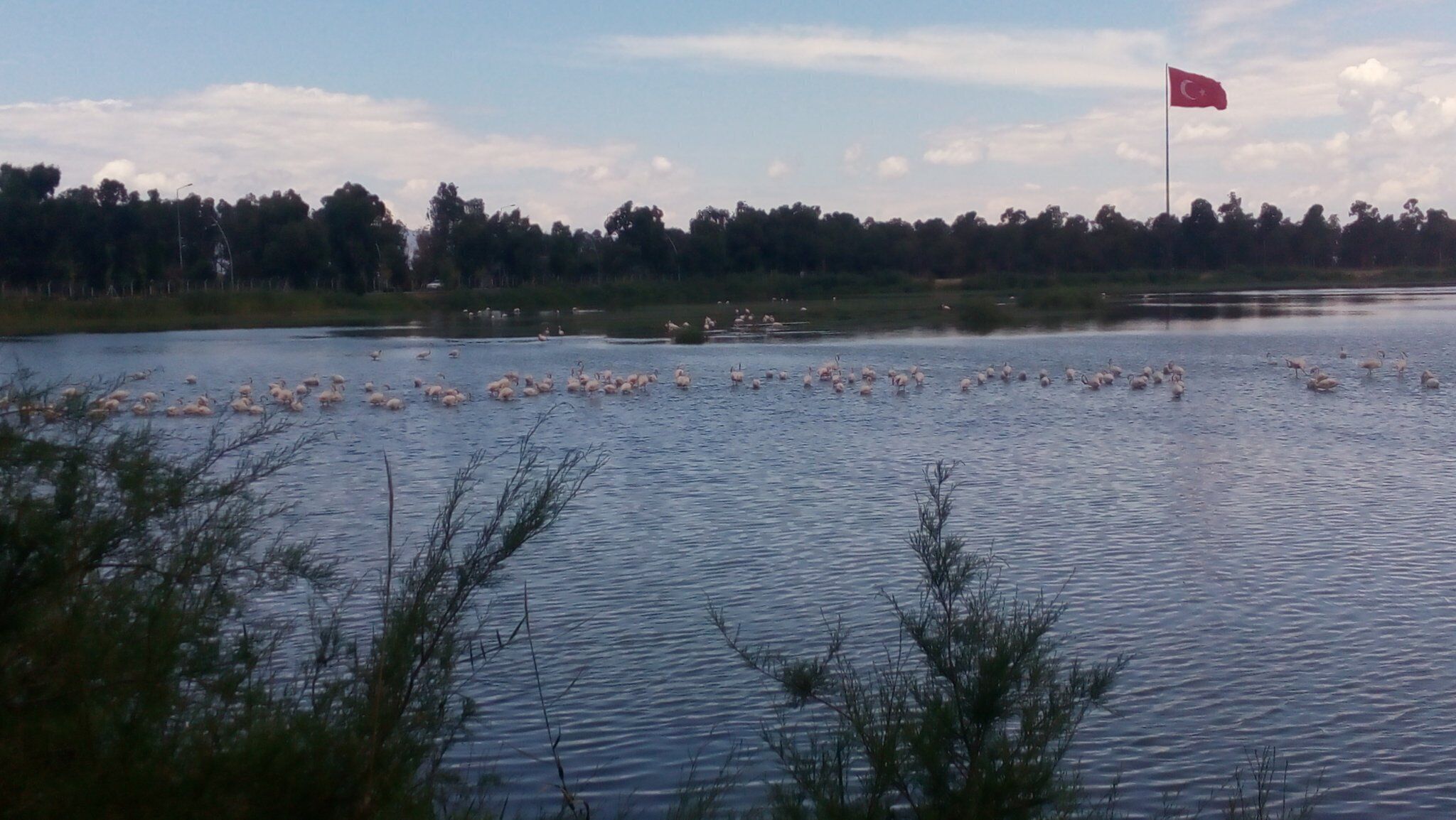 A body of water with a flag in the distance and trees in the background.