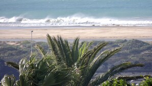 A beach with waves crashing onto the shore, palm trees in the foreground, and a clear view of the ocean. - La Mer Guesthouse (Gqeberha (Port Elizabeth))