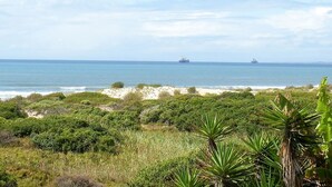 A coastal landscape with dense vegetation, sandy beaches, and the ocean. - House Haven Guesthouse (Gqeberha (Port Elizabeth))