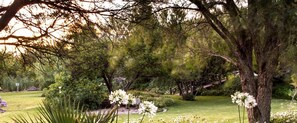 Garden - Matoppo Inn (Beaufort West)