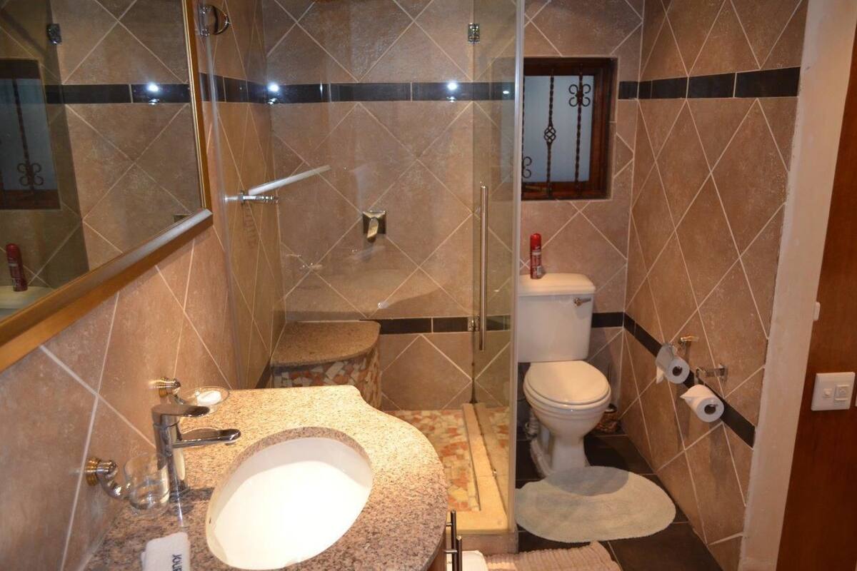 A bathroom with a granite sink, a glass shower enclosure, and a toilet with a towel rack.