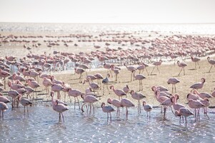 Vista desde la propiedad