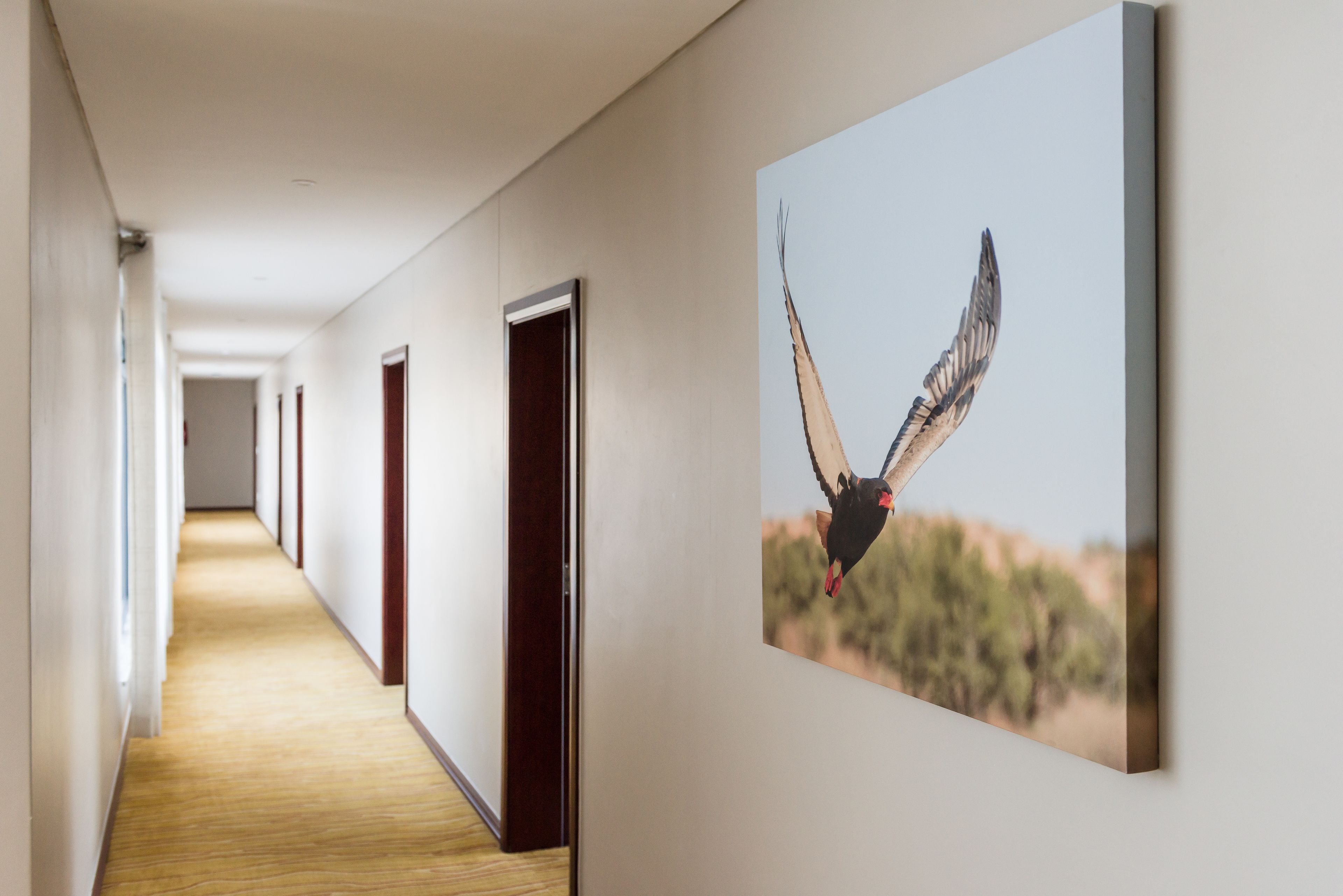 handicapp rooms  | premium bedding, minibar, in-room safe, desk