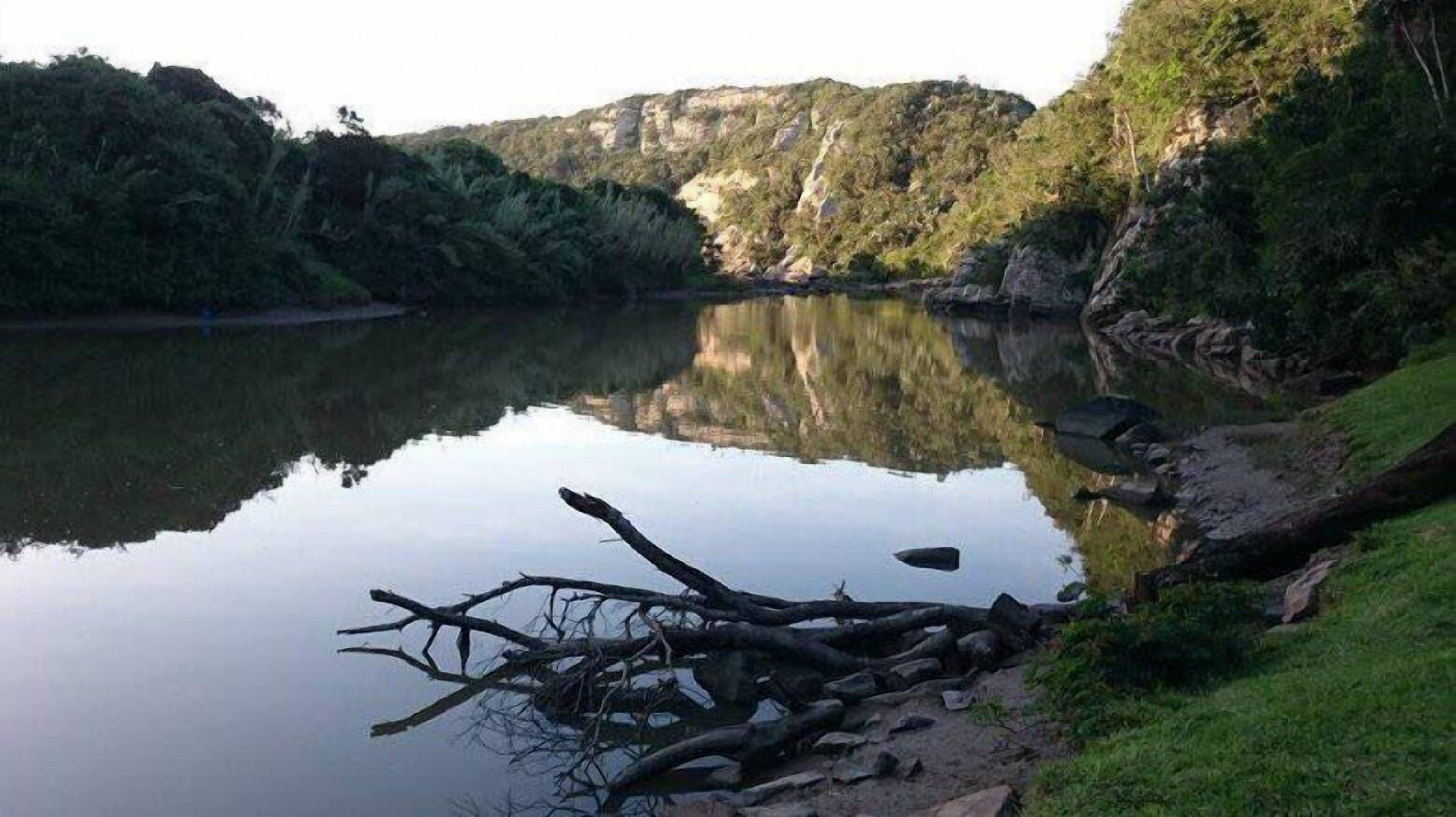 Um rio calmo com margem rochosa e vegetação densa.