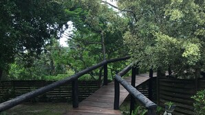 Uma ponte de madeira com base de tijolos, rodeada por vegetação e um cercado de madeira.