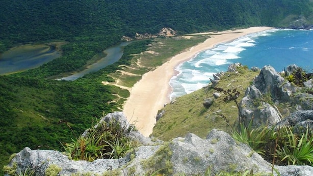 Un paisaje costero con una playa arenosa, un río y abundante vegetación.
