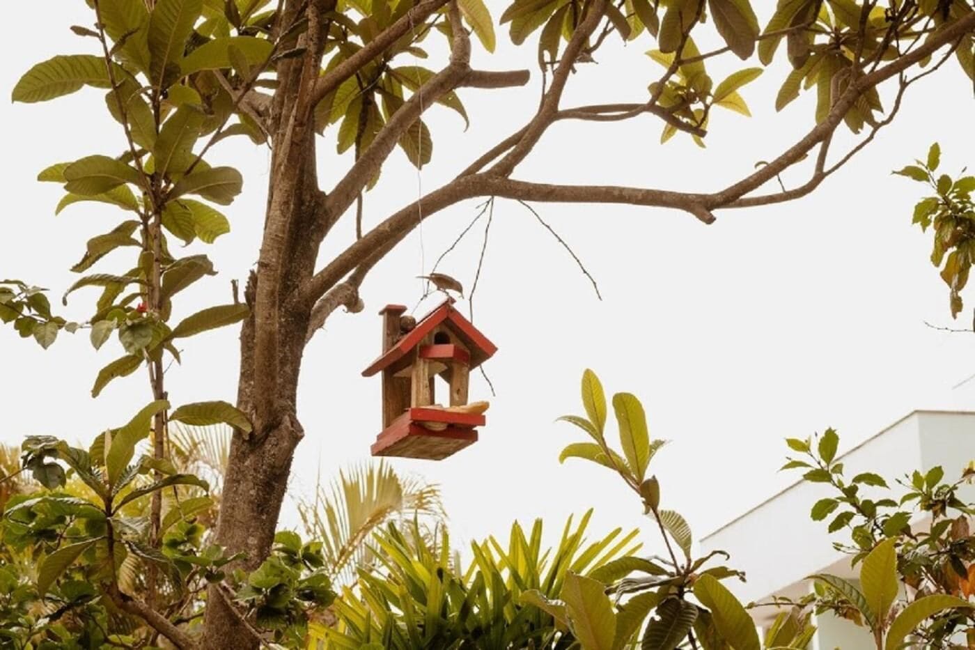 Foto - Pousada Arquipélago