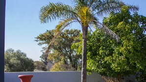 Un jardín con una palmera, jarrones rojos y una pared blanca.