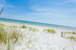 A sandy beach with sparse vegetation and a clear blue sky. - Sunset Palms (Port St. Joe)