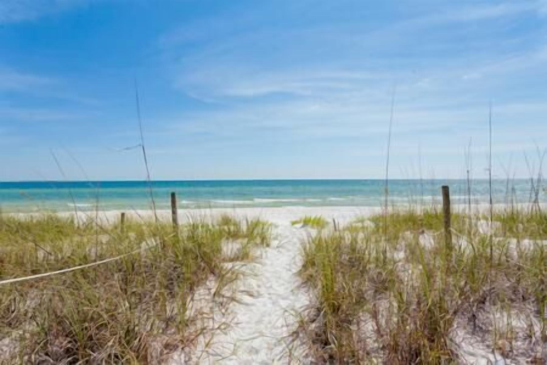 A sandy beach path leading to the ocean with sparse vegetation.
