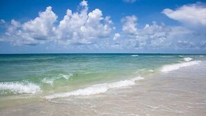 Una playa con agua cristalina y una orilla arenosa.