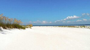 Una amplia playa de arena con vegetación escasa y un cielo azul despejado.