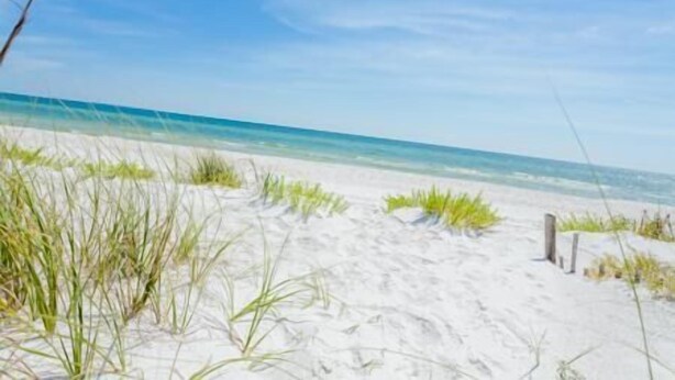 Una playa arenosa con vegetación escasa y un cielo azul despejado.