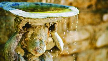Une fontaine rustique en pierre, dont l’eau jaillit d’un bassin.