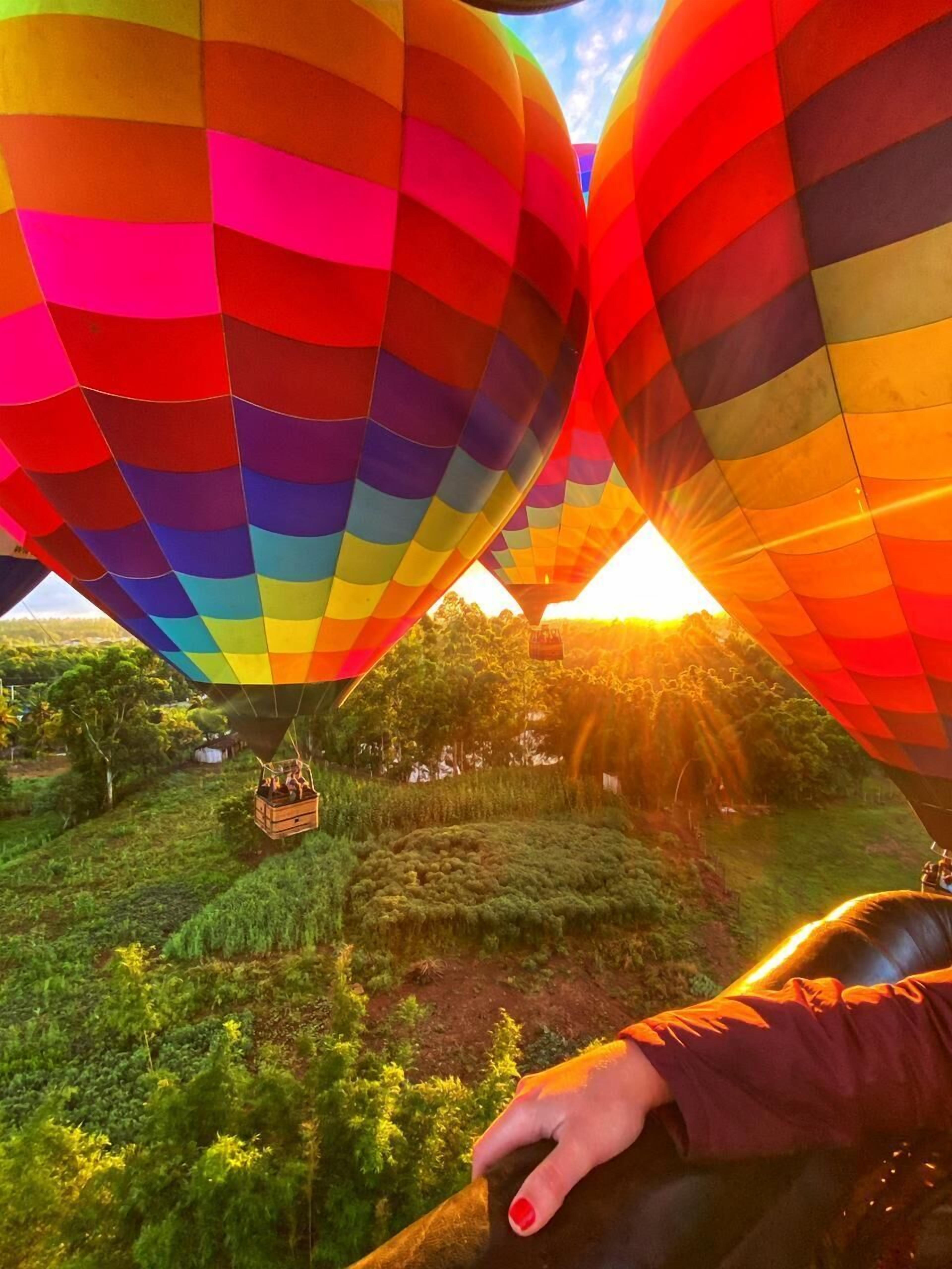 Eine Heißluftballon mit Regenbogenmuster über einer üppigen Landschaft.