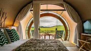 Pillow-top beds, free minibar, in-room safe, individually decorated