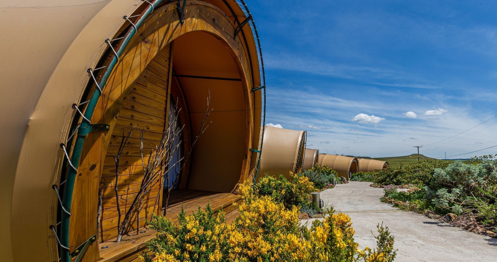 superior tent | 1 bedroom, free minibar, in-room safe, free wifi