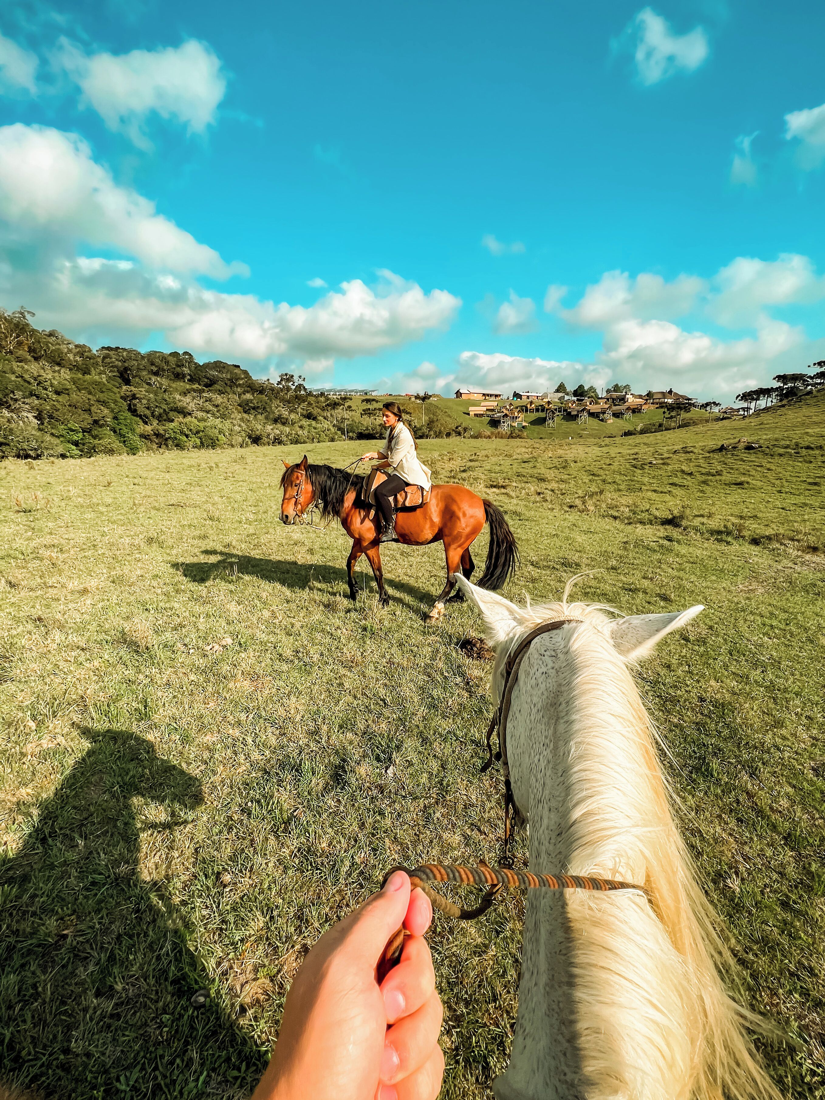 Uma pessoa cavalgando um cavalo em um campo gramado, com casas ao fundo.