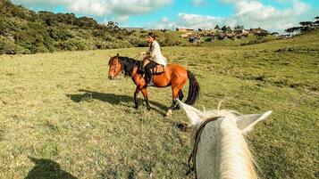 Uma pessoa cavalgando um cavalo em um campo gramado, com casas ao fundo.