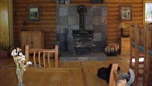 A log cabin interior with a stone fireplace, wooden furniture, and a vase with flowers. - Star Mesa 2 Bedroom Holiday Home By Pinon Vacation Rentals (Howard)