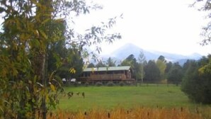 A rustic cabin with a green roof, surrounded by a grassy field and trees. - Star Mesa 2 Bedroom Holiday Home By Pinon Vacation Rentals (Howard)