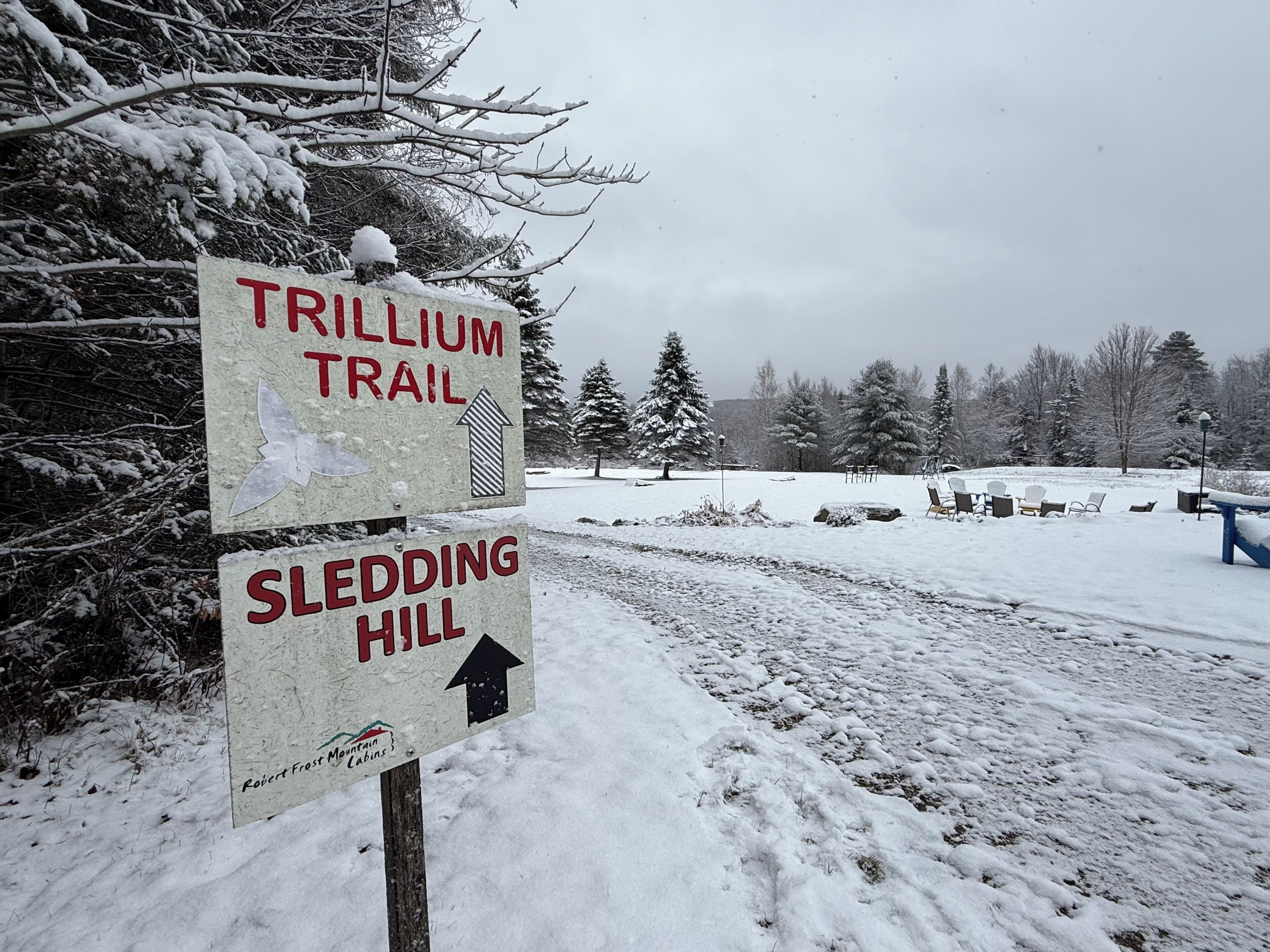 A signpost with directions to Trillium Trail and Sledding Hill, surrounded by snow-covered trees and a clear sky.