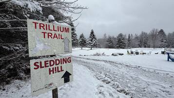 A signpost with directions to Trillium Trail and Sledding Hill, surrounded by snow-covered trees and a clear sky.