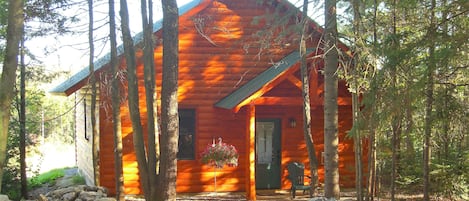 Cabin 1 (Pet Free) - Peak Perspective  | Pillowtop beds, individually decorated, individually furnished