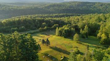 A rural landscape with a clear path leading through a grassy area, surrounded by dense forest and distant mountains.