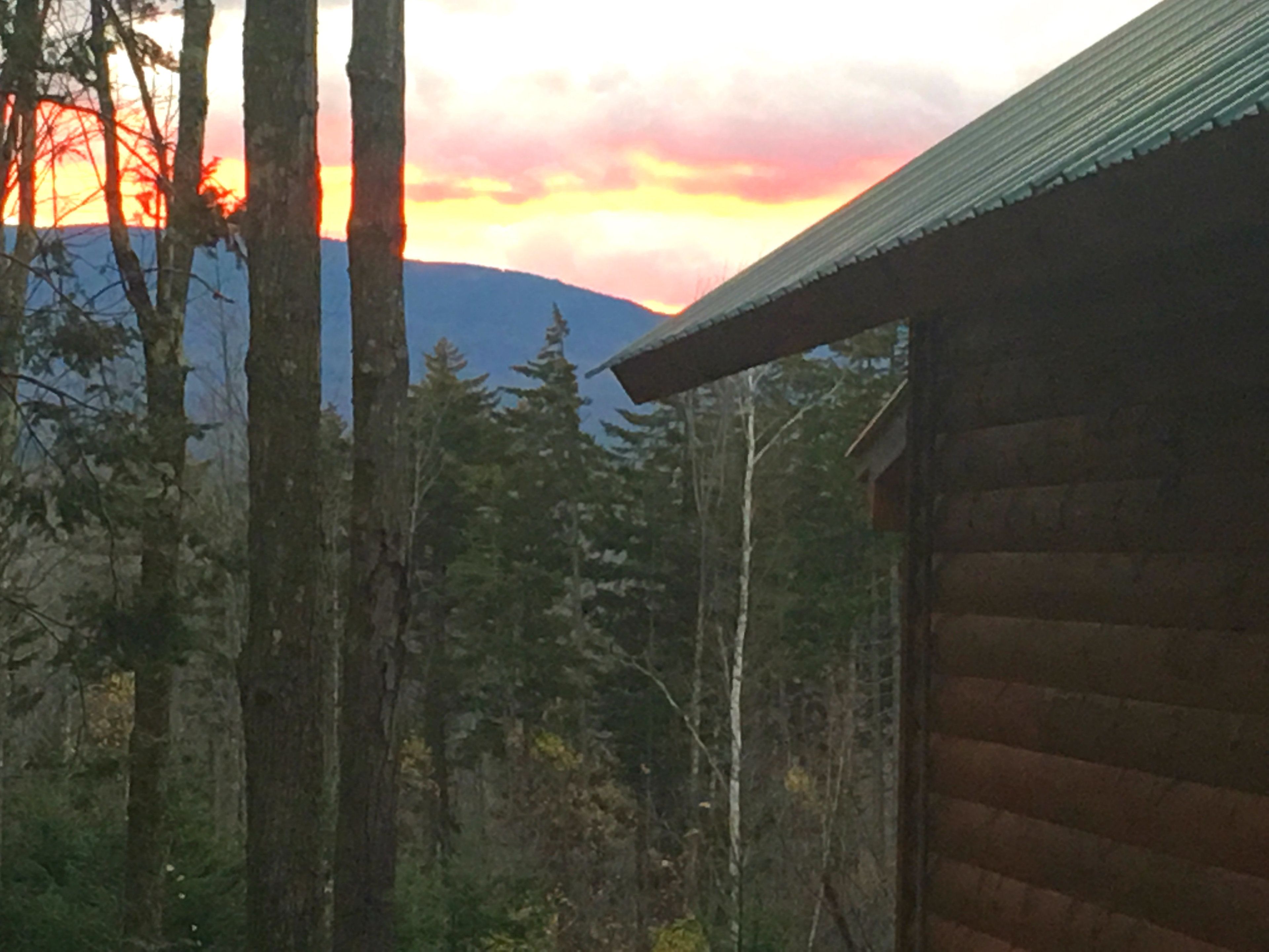 A cabin with a sloped roof, surrounded by tall trees and a mountain in the background.