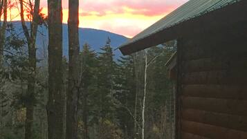 A cabin with a sloped roof, surrounded by tall trees and a mountain in the background.