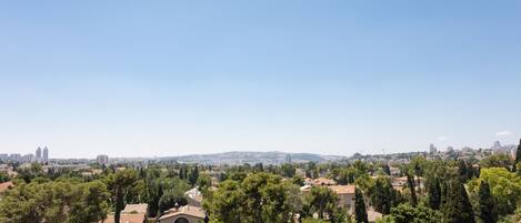 A residential area with houses surrounded by trees and a distant city skyline.