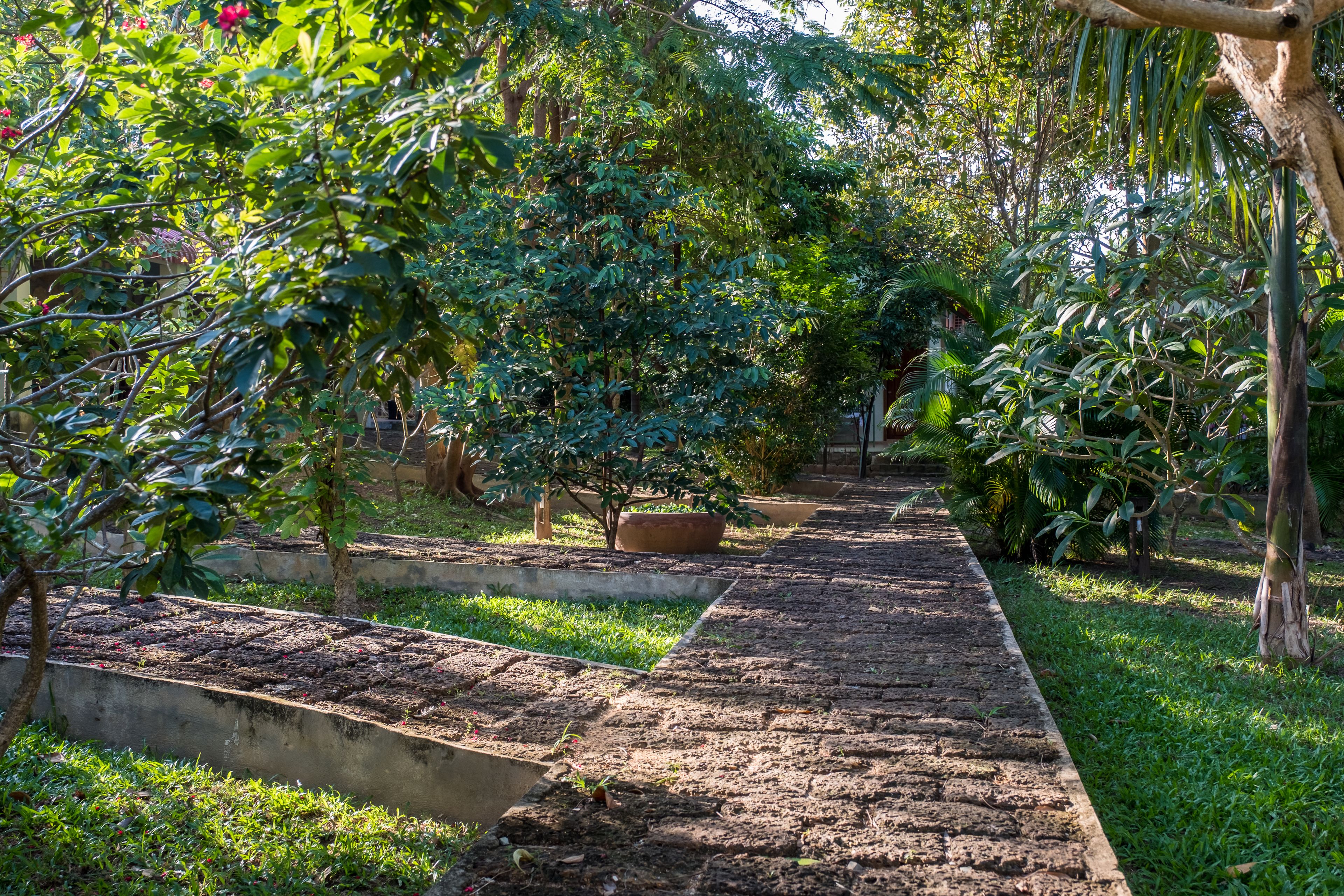 A garden pathway with a concrete border, surrounded by lush greenery and trees.